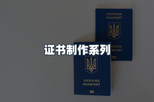 证书制作系列